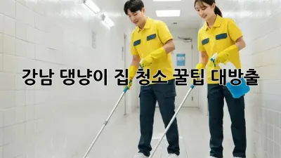 강남 댕냥이 집 청소🧹 꿀팁 대방출!